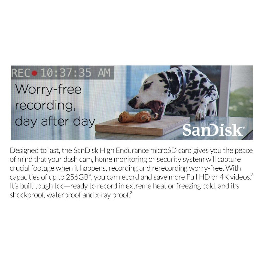 Eraspace Sandisk MicroSD card High Endurance card with Adapter for Dashcam & CCTV, IP Camera 128GB 256GB...