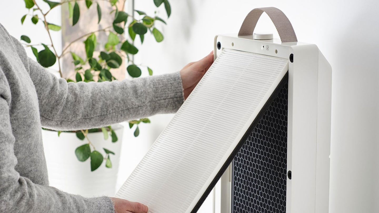 How to Care for and Clean an Air Purifier So that It Lasts