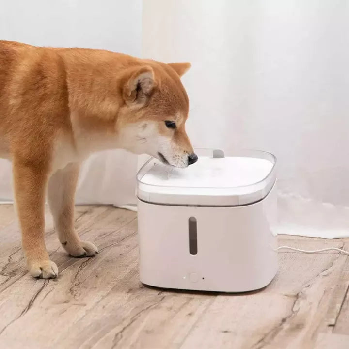 Xiaomi Smart Pet Fountain